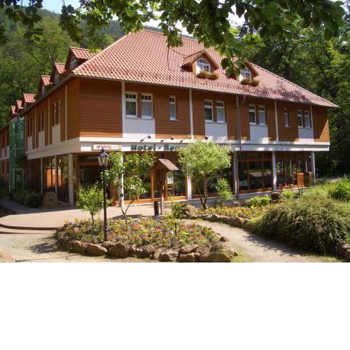 Kurpark Flair Hotel Im Ilsetal