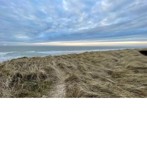 Kuscheliges Sylt Zuhause für 2 Personen