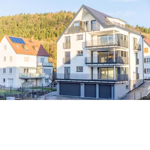 L19 Tuttlingen