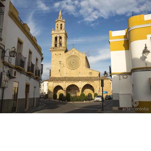 La casa de las flores 13