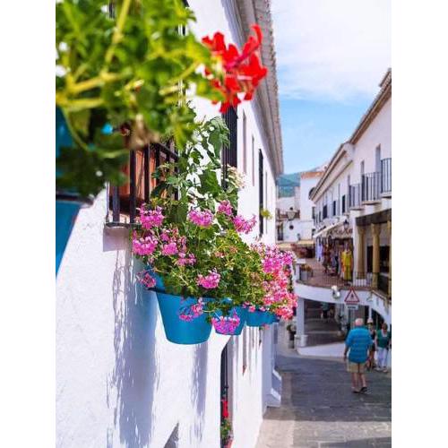 La casa del barrio