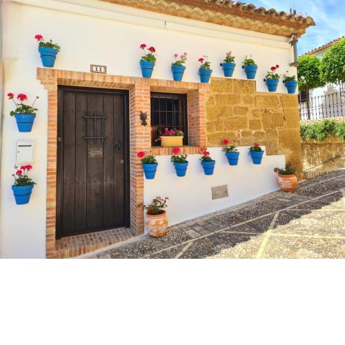 La Casa Siglo Viii (The 8th Century House)