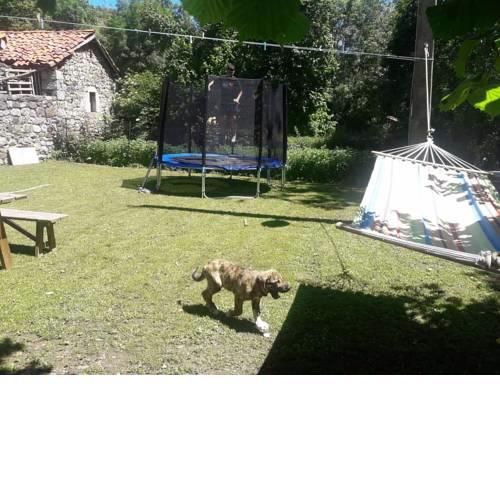 La Casa Vieja en Valdeón