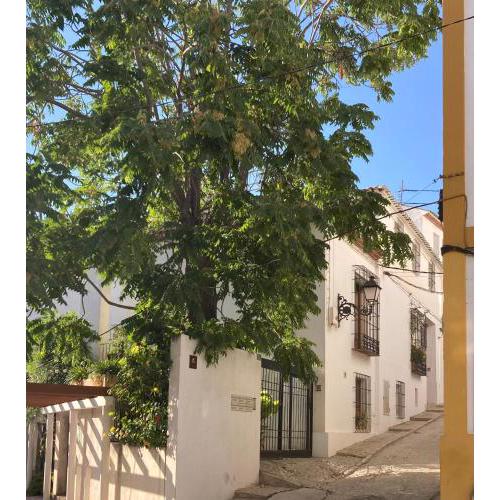 La Casa y el Patio
