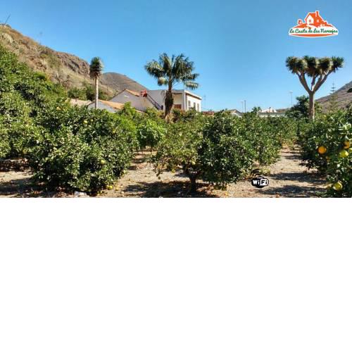 La Casita de Las Naranjas