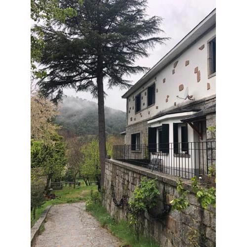 La casona de Mimi