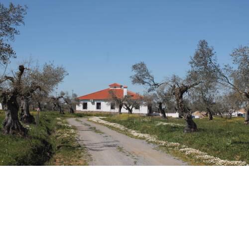 La Garrota
