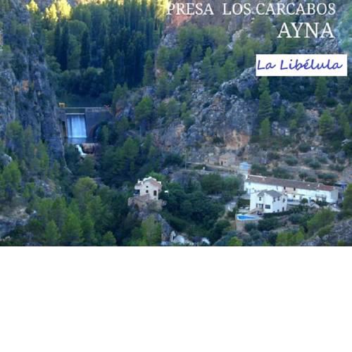 La Libelula Ayna