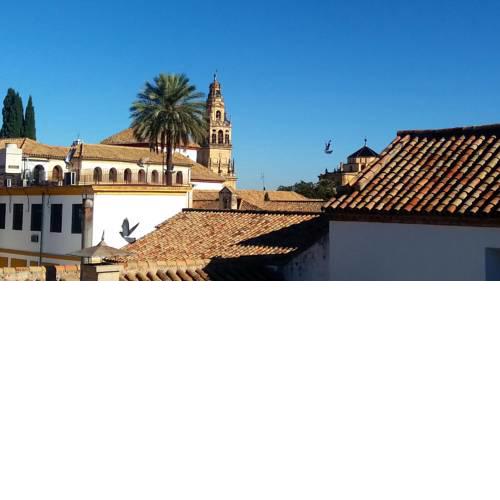 La Mirada de La Judería