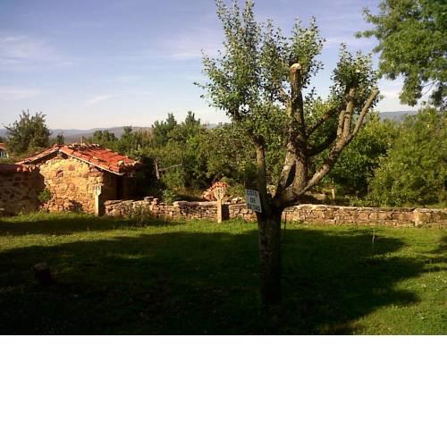 La Morera de Agustina