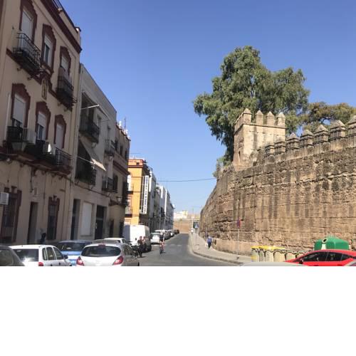 La Muralla, Sevilla Pura