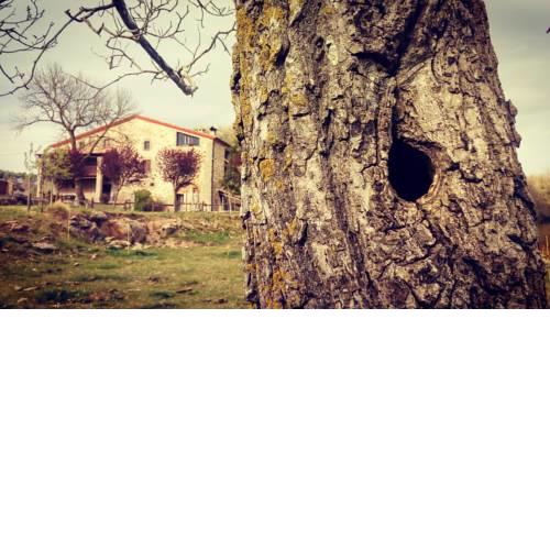 La Plana de Sovelles