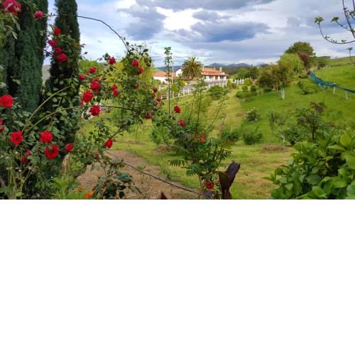 La Praderia De Vidular