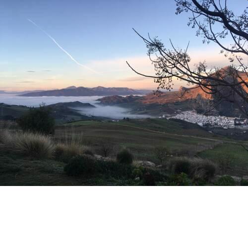 La Sorpresa