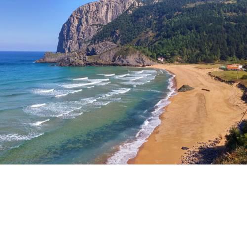 LAGA BLUE SURF