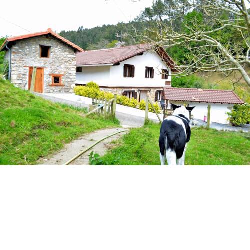 Lagasurfcamp agroturismo