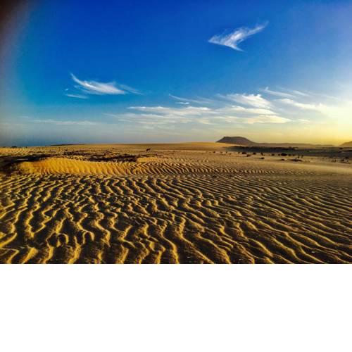 Land and wild holidays