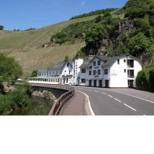 Land-gut-Hotel Hotel & Restaurant Zum Sänger