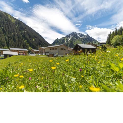 Landal Hochmontafon