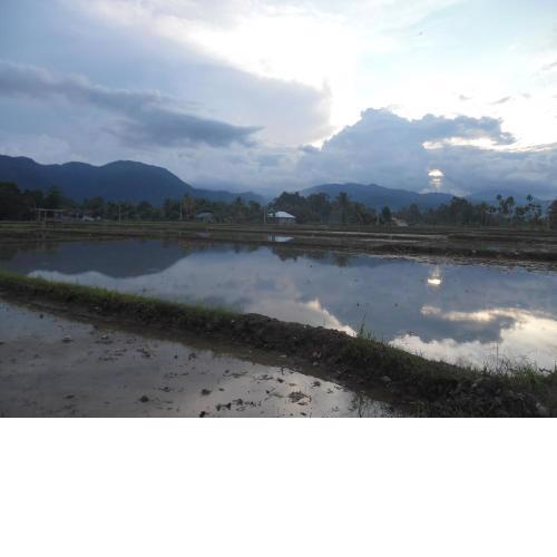 LANDBOW GREEN VILLAGE Homestay Trekking & Village Tour