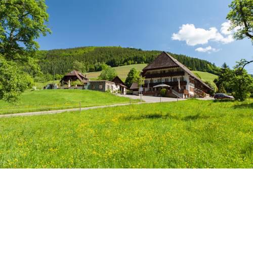 Landgasthaus Grüner Baum