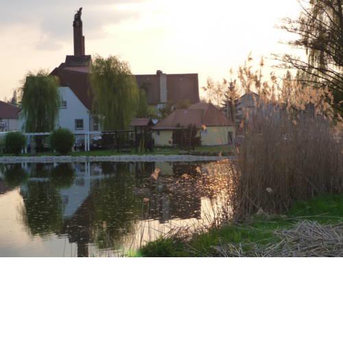 Landgasthof Windfelder am See