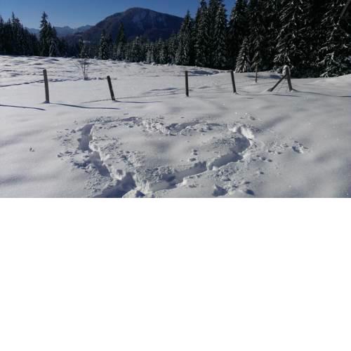 Landgasthof Zum Alten Reichenbach