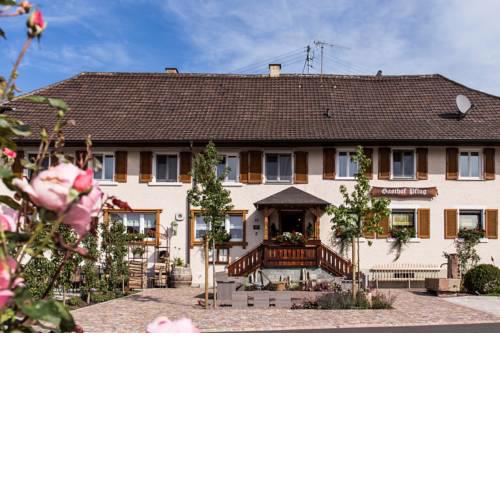 Landgasthof zum Pflug