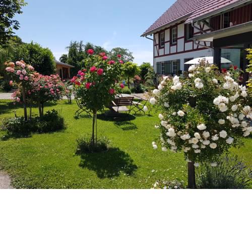 Landgut Apfelrose