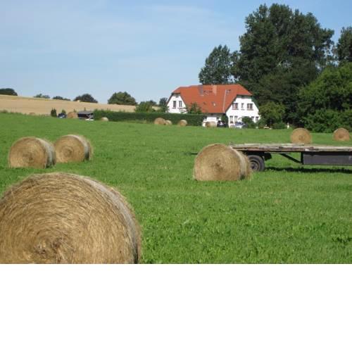 Landhaus Alt Reddevitz