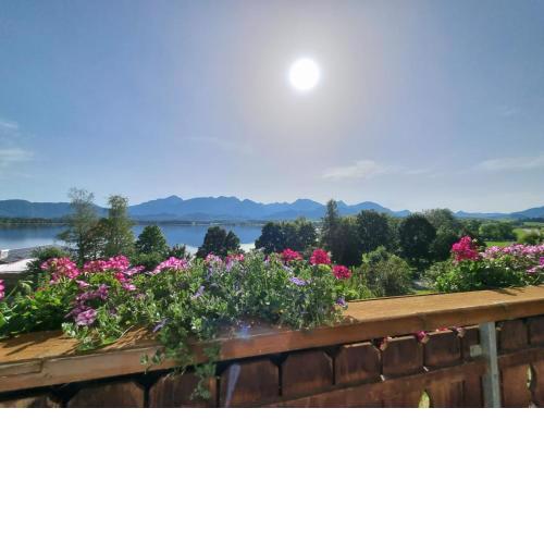 Landhaus Amberg Hopfen am See // Hopfensee // Füssen