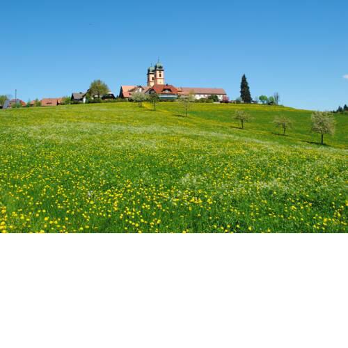 Landhaus-Apartment Feldbergblick