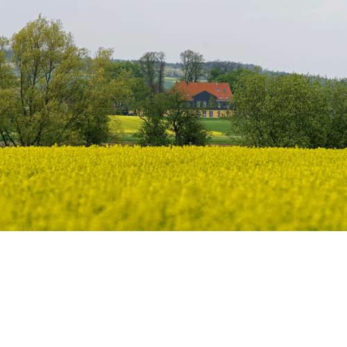 Landhaus Heidekrug