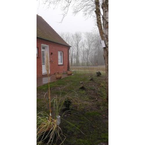 Landhaus Löwenzahn