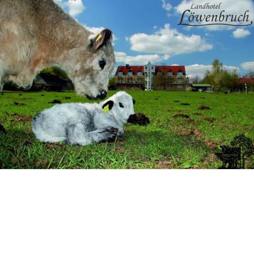 Landhotel Löwenbruch