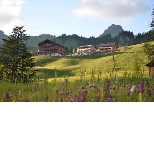 Ländle Hotel