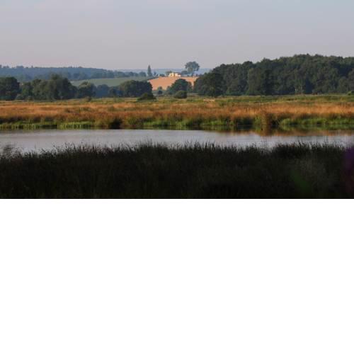 Landsitz Kapellenhöhe