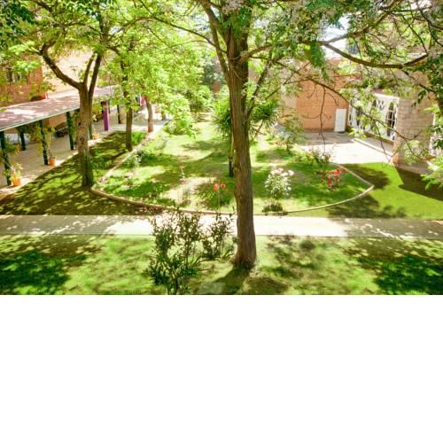Lantana Garden