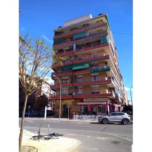 large and bright apartments near the sea and the center