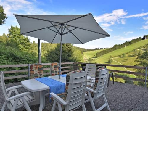 Large Holiday Home in Sankt Andreasberg Germany near Forest