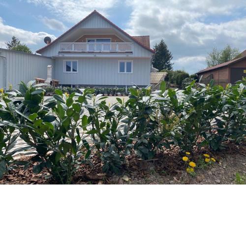 Large, modern and comfortable holiday home in the Harz Mountains with garden and roof terrace