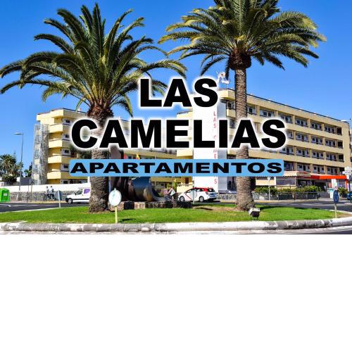 Las Camelias Apartments (E14) POOL AND SOLARIUM