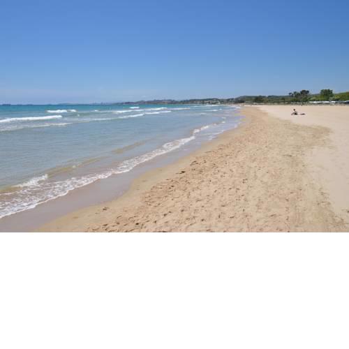 Las Palmeras Camping & Bungalow