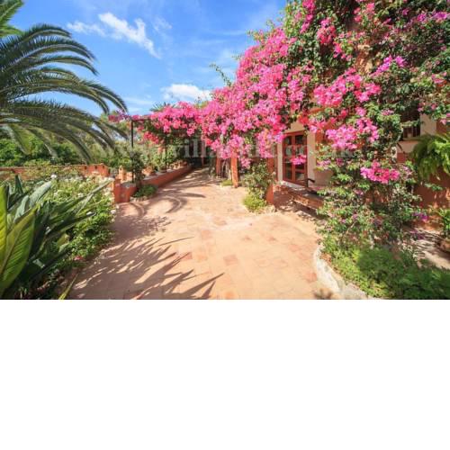 Las Palmeras Portol