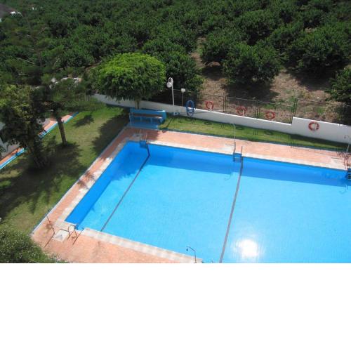 LAS PALMERAS