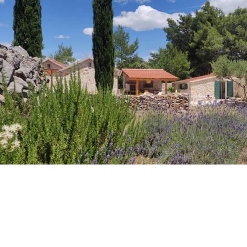 Lavander Dreams Cottage Hvar
