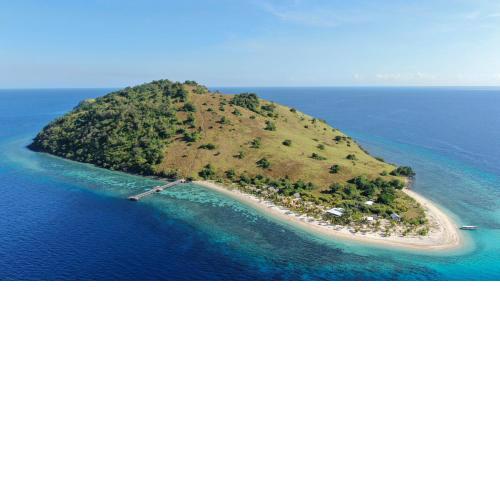 Le Pirate Island - Adults Only