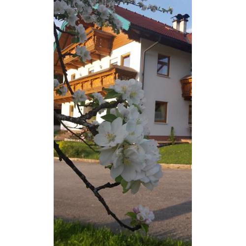 Lederhof