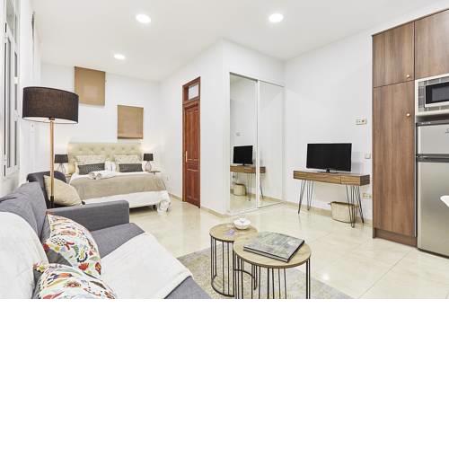 LEEWAYS APARTMENT IX in GRAN VÍA