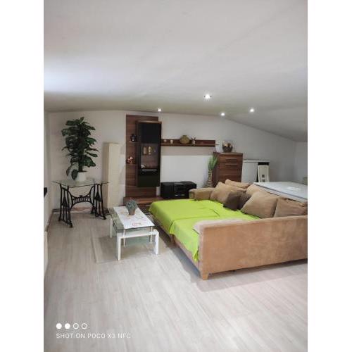 Leipzig Neuseeland Ferienwohnung